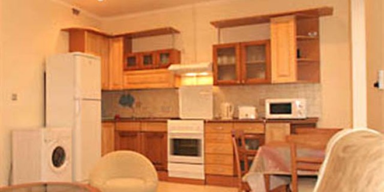 2-spálňový Apartmán Sankt-Peterburg Tsentralnyy rayon s kuchyňou pre 5 osôb